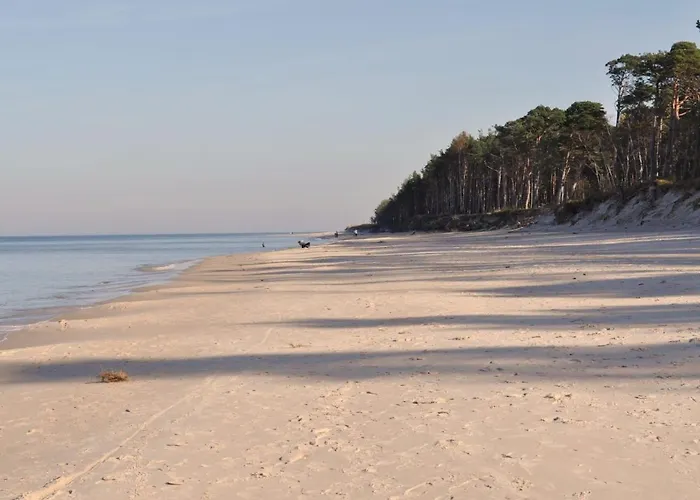 Mandarynka Ow 펜션 *