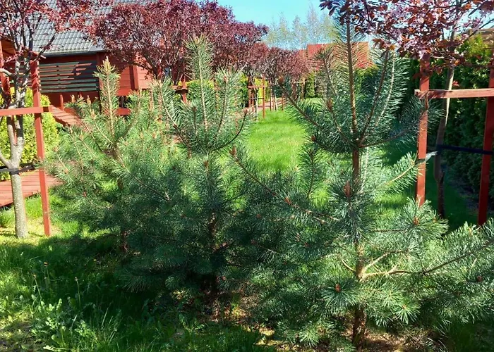 בית נופש Mandarynka Ow