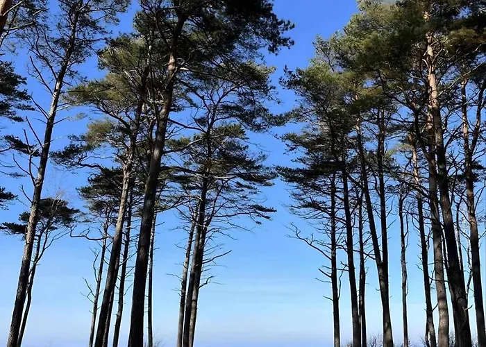 Mandarynka Ow בית נופש *